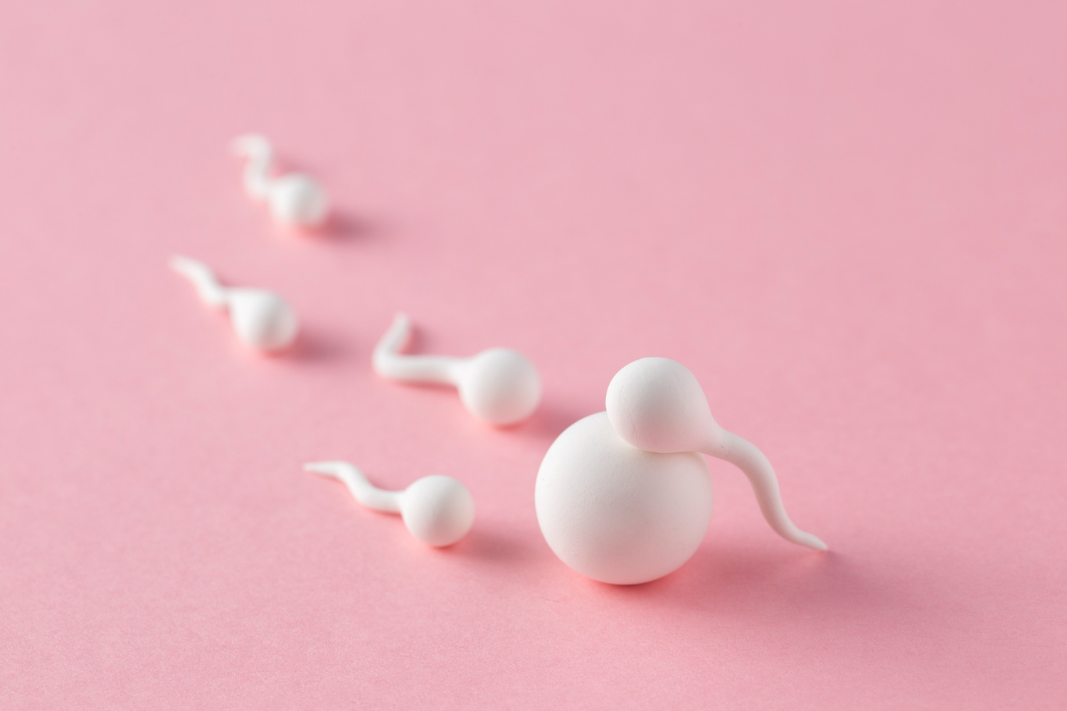 Consulta de valoración de fertilidad en Puebla – Dr. Guillermo Castellanos Barroso
