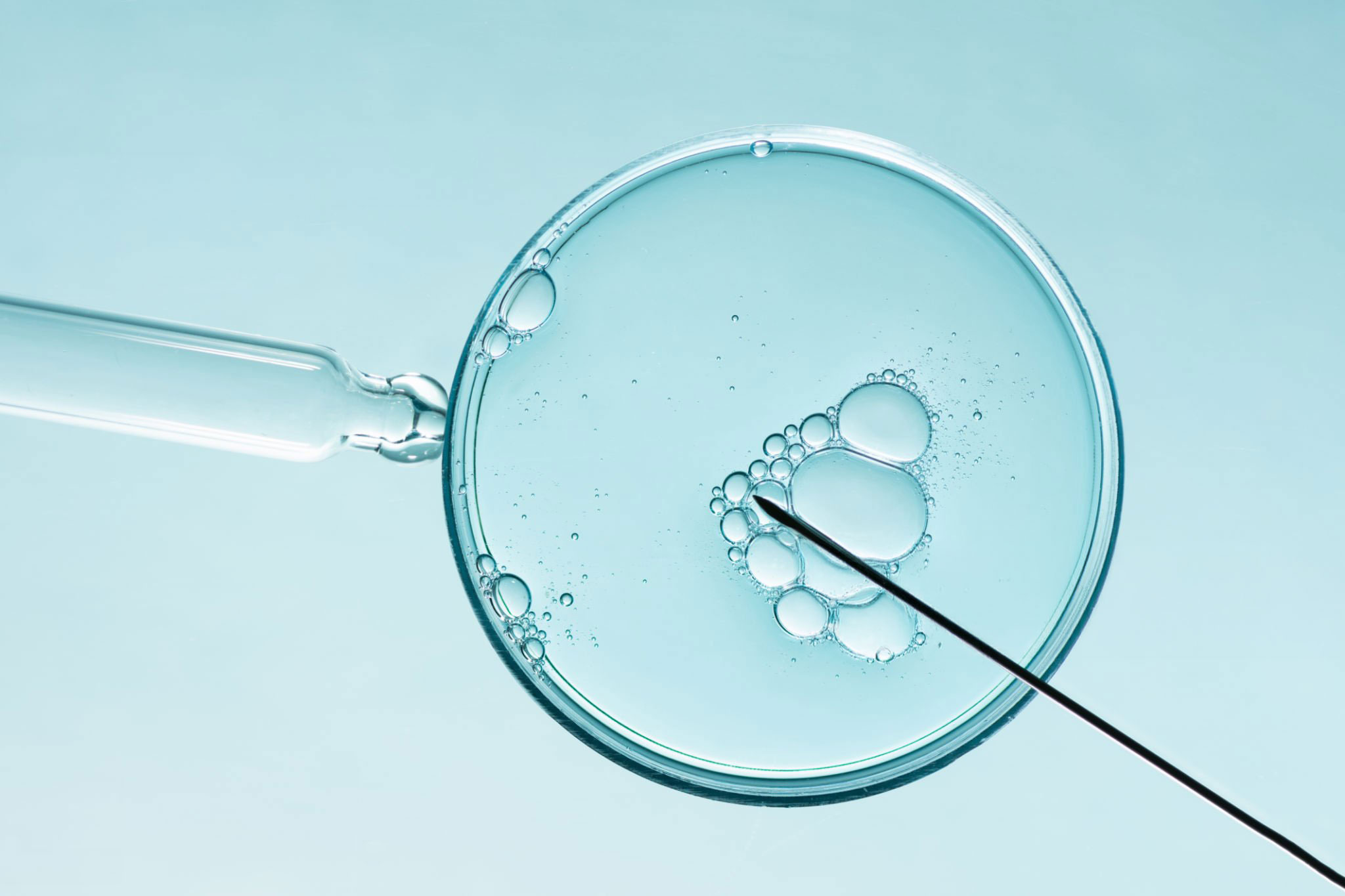 Fertilización In Vitro FIV en Puebla – Fertility Center Hospital Ángeles