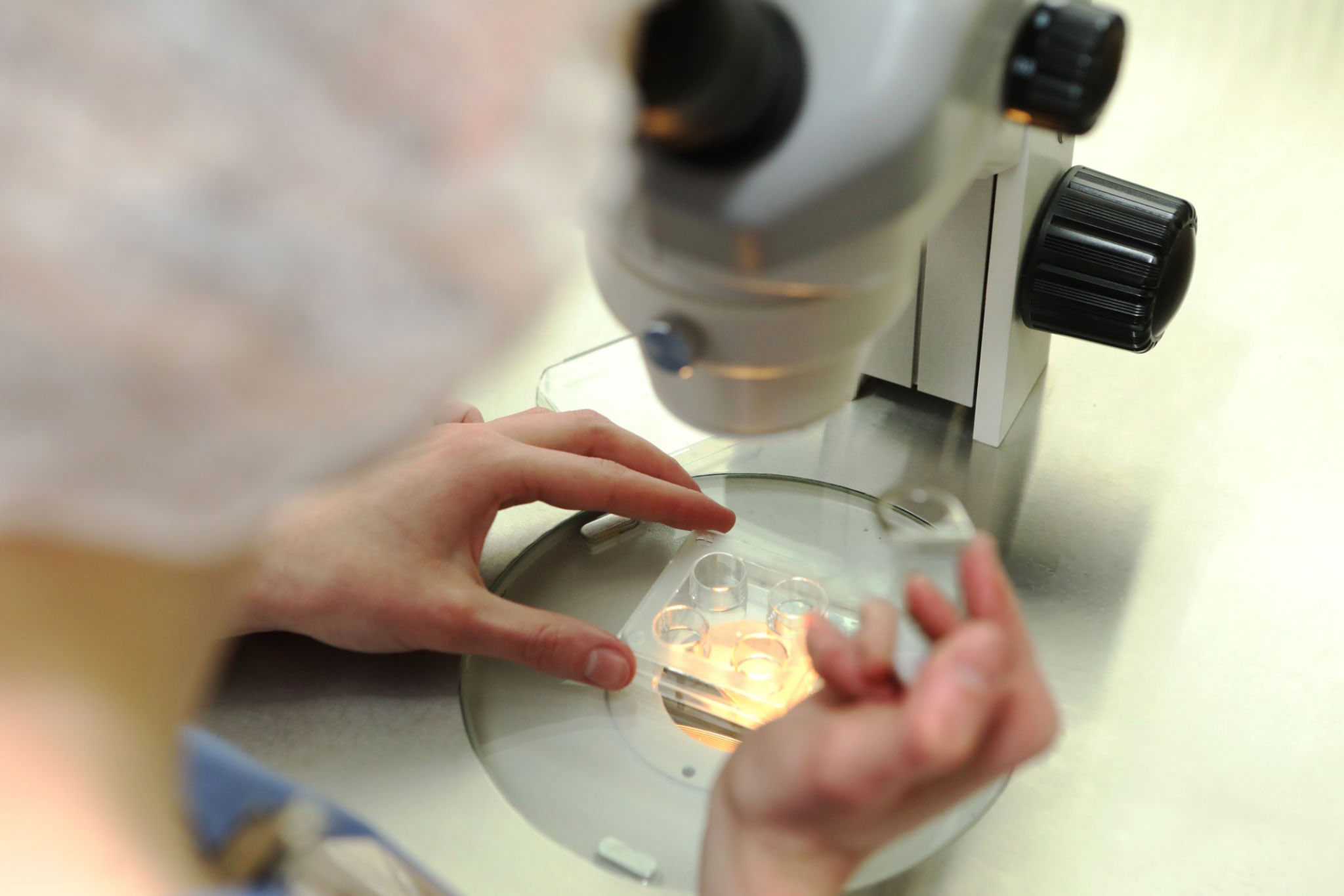 Inseminación artificial en Puebla – Fertility Center Hospital Ángeles